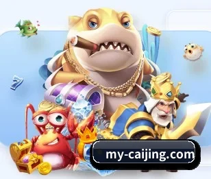 彩经网围绕看球场景设计的核心服务