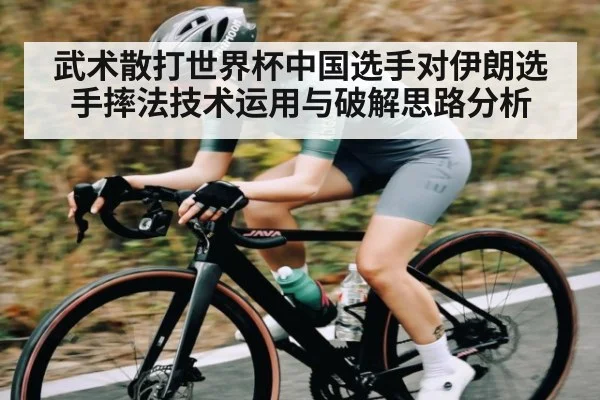 武术散打世界杯中国选手对伊朗选手摔法技术运用与破解思路分析